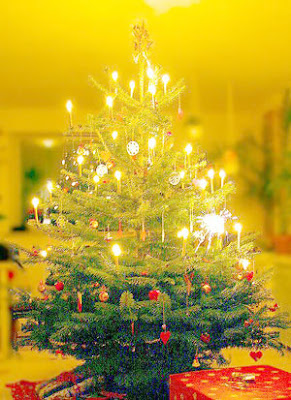 christmas tree candles lights