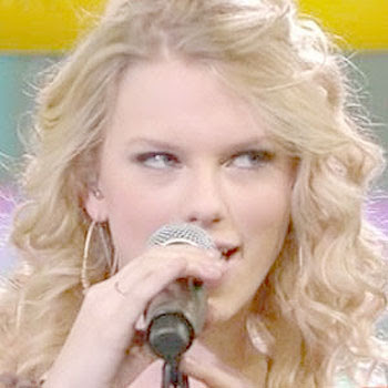 Taylor Swift Picture To Burn Listen