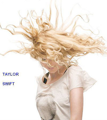 Taylor Swift Picture To Burn Listen