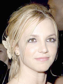 Britney Spears Circus Torrent