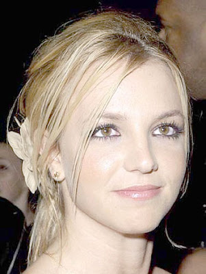 Britney Spears Circus Torrent