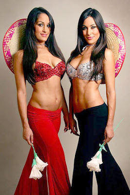 The Bella Twins Pictures