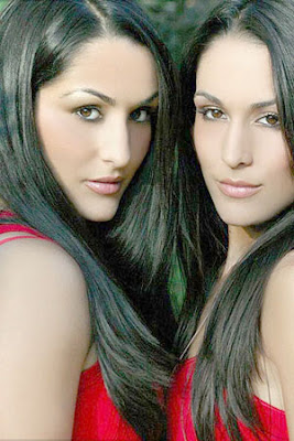 The Bella Twins Pictures