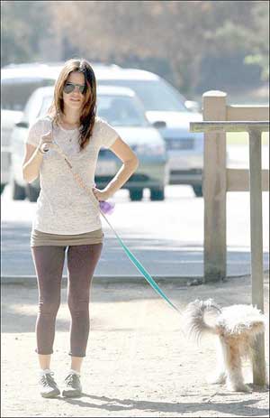 [Rachel+Bilson+Dog+Walking+Pictures+(5).jpg]