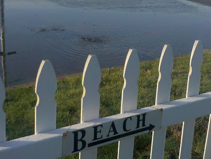 After the Storm Oakland Beach