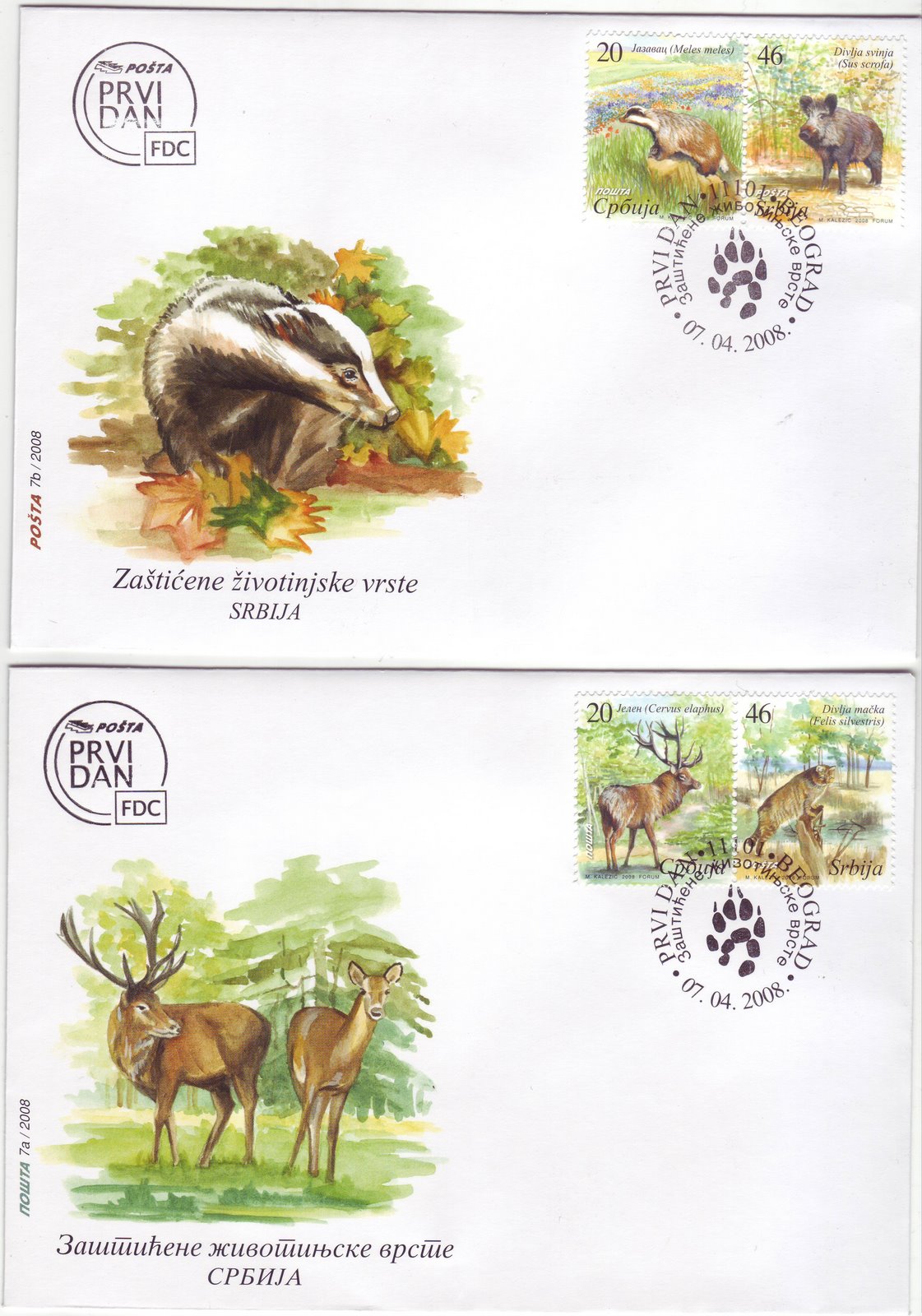 [9-2008+Protected+Animal+FDC.JPG]