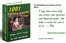 1001 Newbie Friendly Tips
