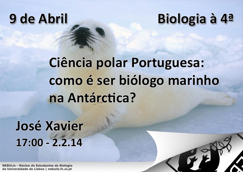 [anopolarweb.jpg]