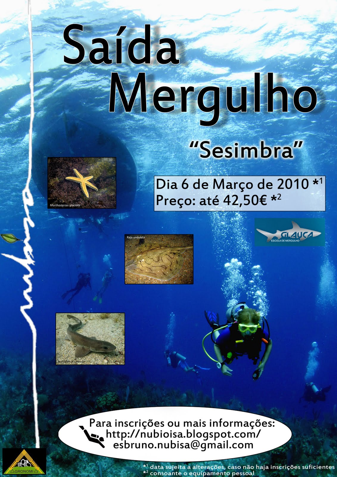 [Cartaz+Mergulho2.jpg]