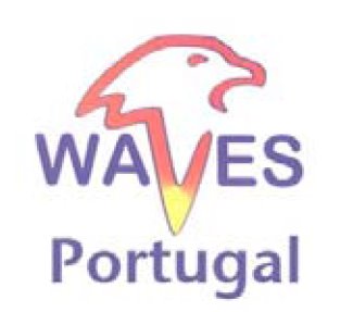 [WAVES+PORTUGAL.bmp]