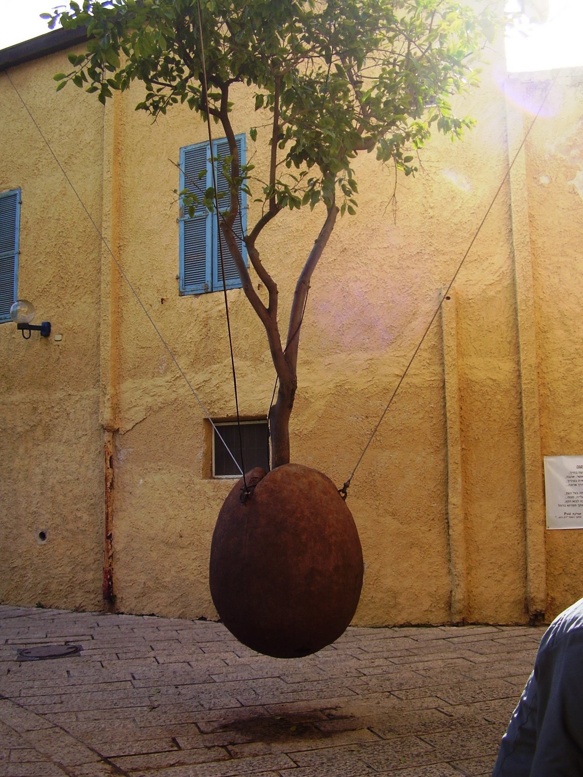 [P1300007.JPG]