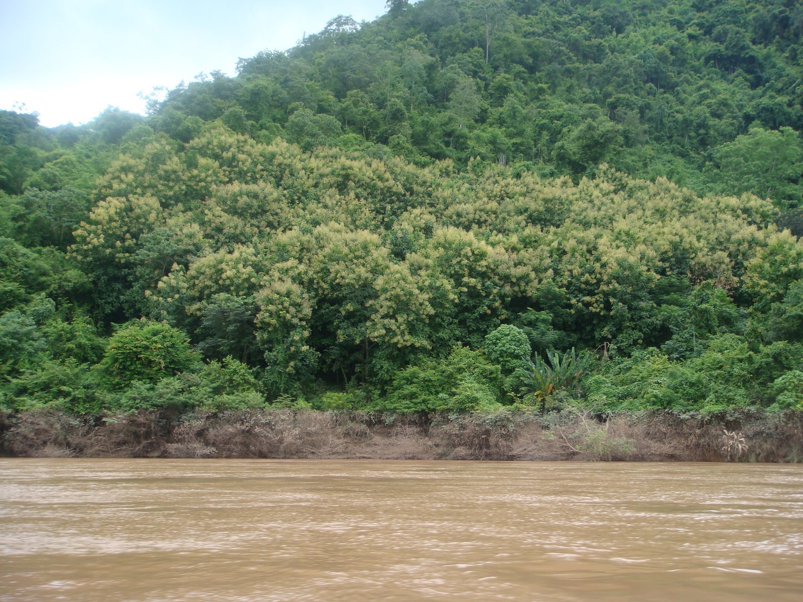 [DSC05109.JPG]