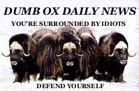 Dumb Ox Daily News