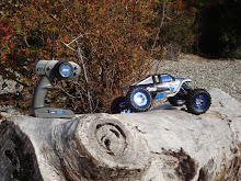 LOSI NIGHT CRAWLER RTR