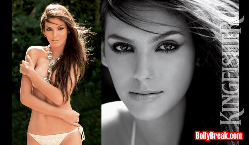 Kingfisher Calendar 2009 released