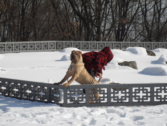 [big_bang_updates_gaho-09.jpg]