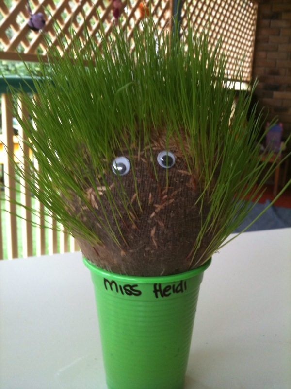 How to make a Chia Pet Paper Tree