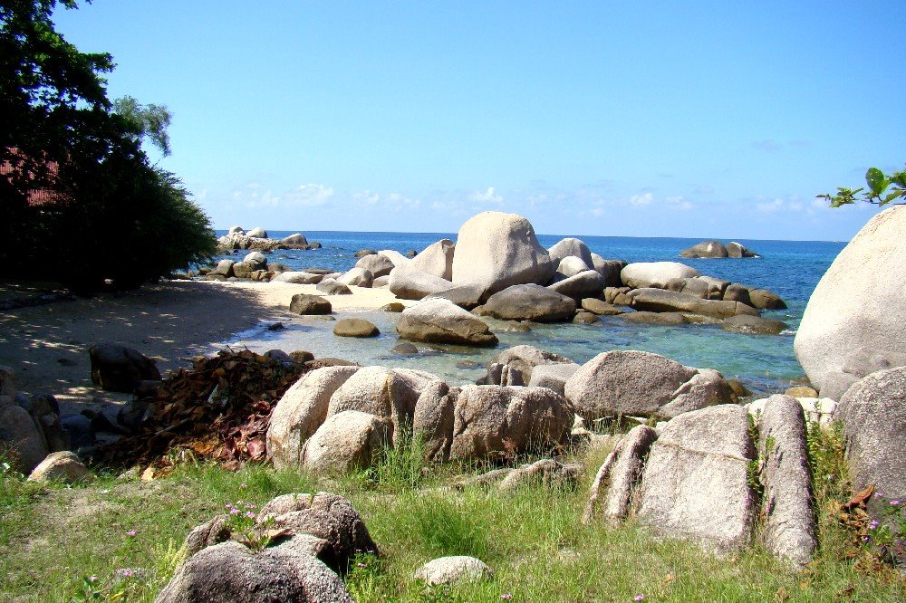 [DSC07679.JPG]
