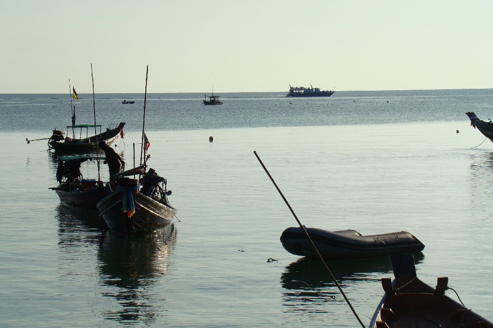 [DSC07712.JPG]