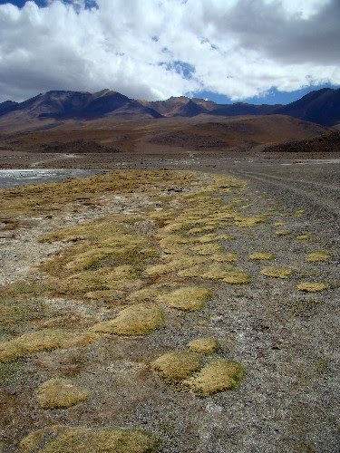 [LATINAMERICA+0482.JPG]