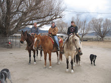 Horse Back Ride