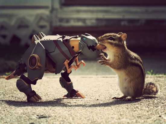 funny chipmunks pictures