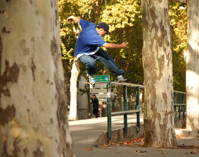 Canardo fs noseslide