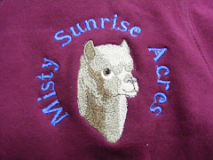 Custom Embriodery Designs