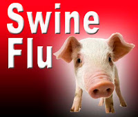 origin of swine flu