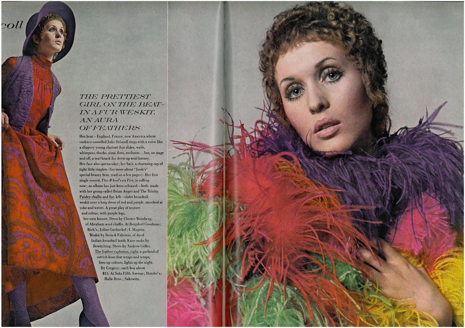 Julie Driscoll Photos