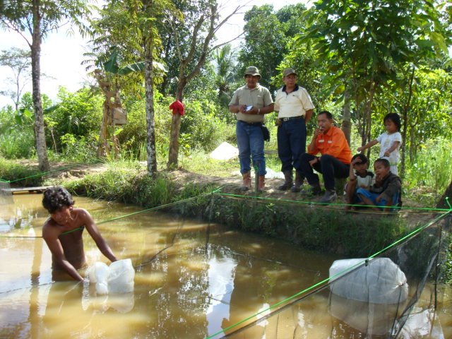 [Perikanan+Minggu+I+Juli+2008+(19).JPG]
