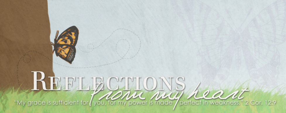 Reflections From My Heart