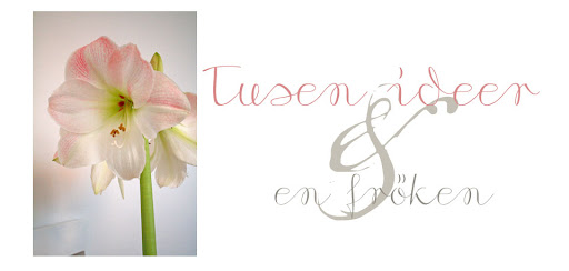 Tusen idéer och en fröken
