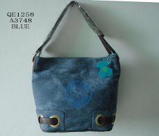 Foto 21. Cartera Azul