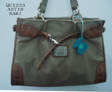 Foto 24. Cartera Kaki