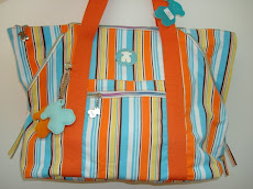 Foto 12 . Cartera Orange