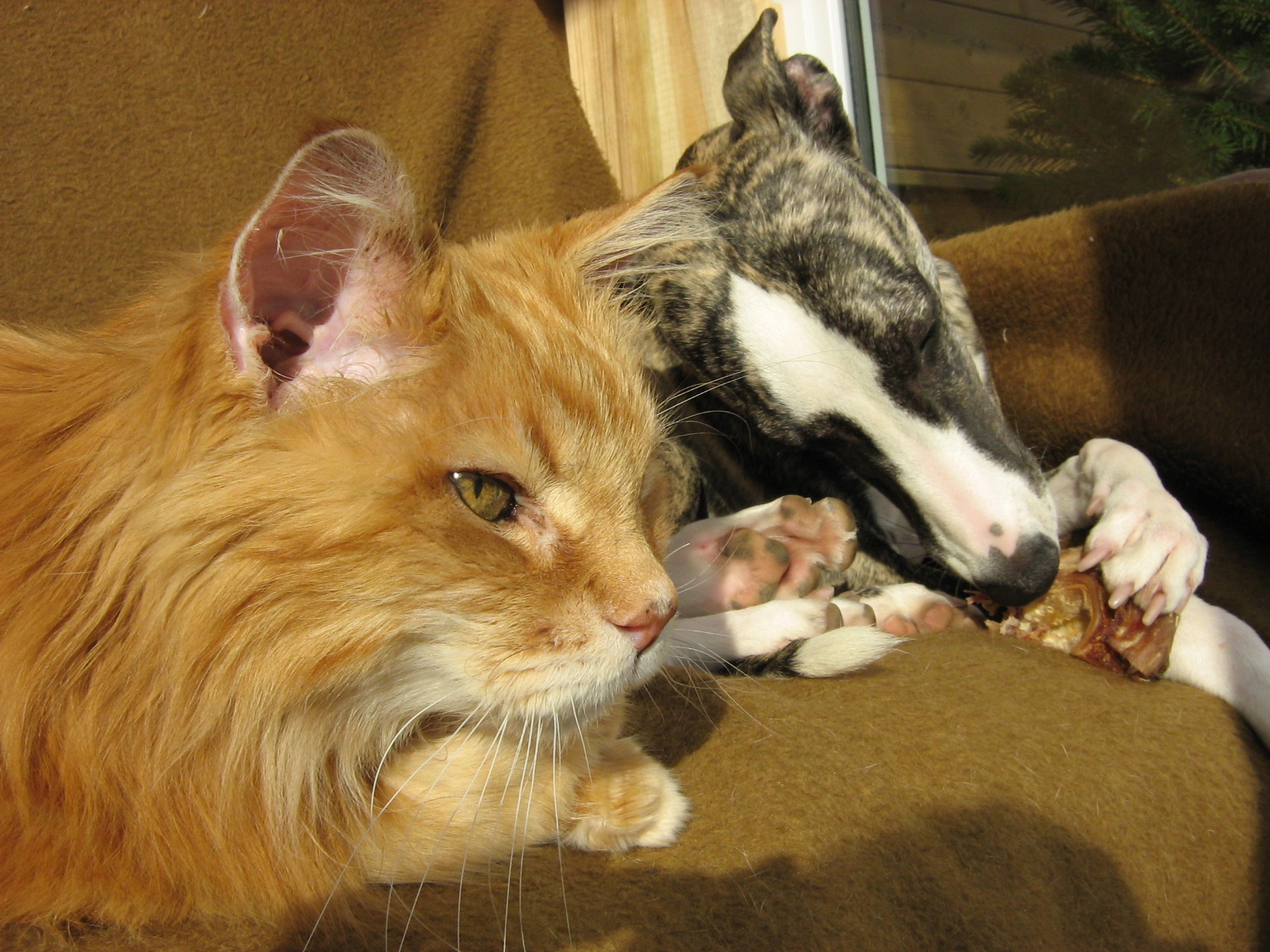 [joscha+u.+kater.jpg]