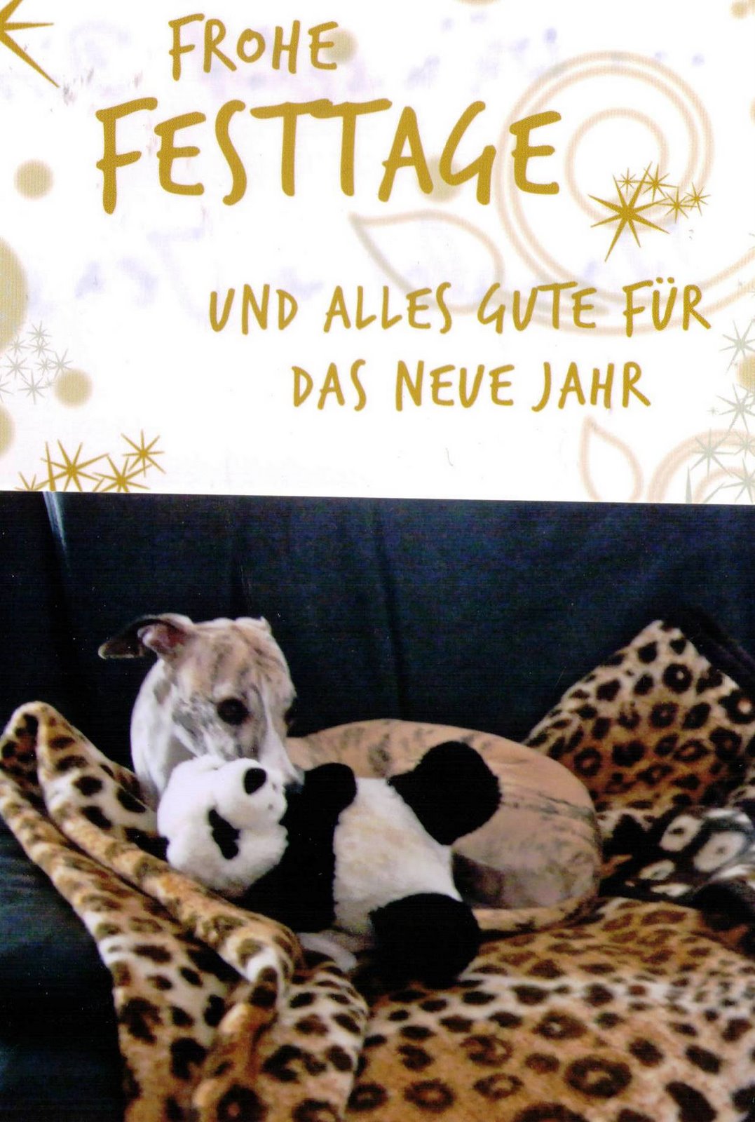 [emily+und+fam.+marquis.jpg]