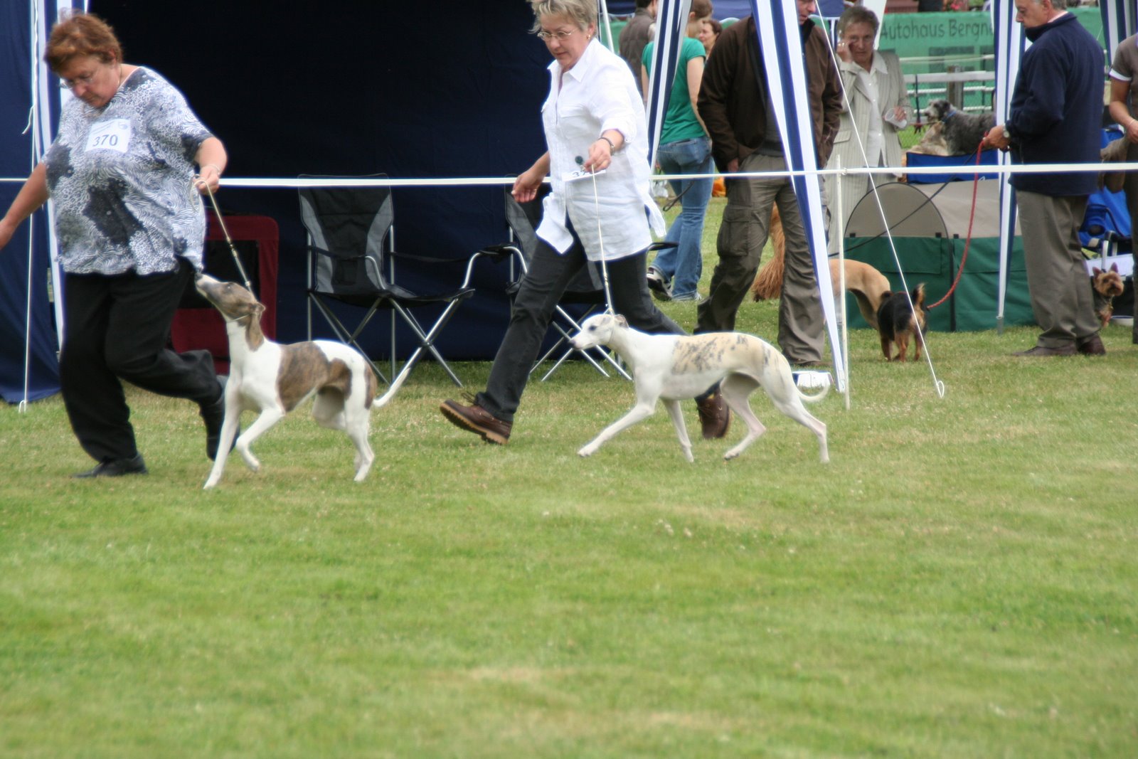 [toffe+-+aktion.JPG]