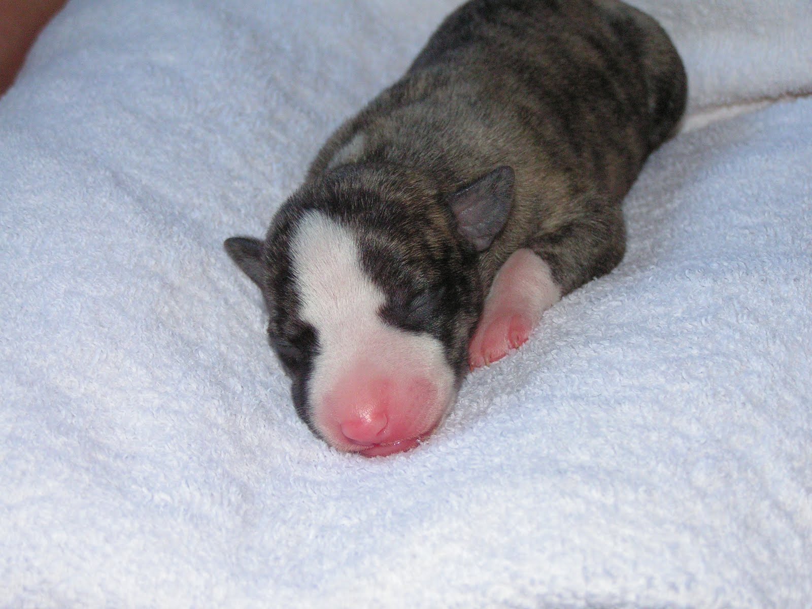 [h.schwarzstrom+a.JPG]