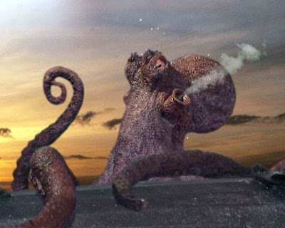 Octopus Big