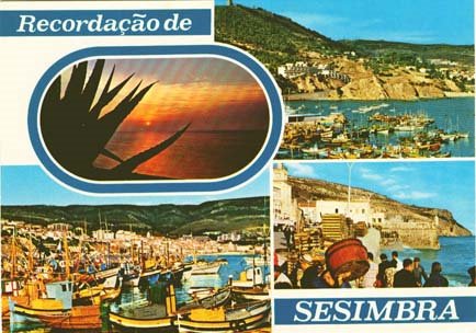 [postalsesimbra04.jpg]