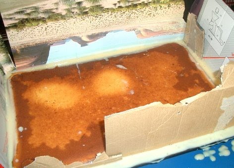 [blat+drept.cu+crema+la+intarit.jpg]