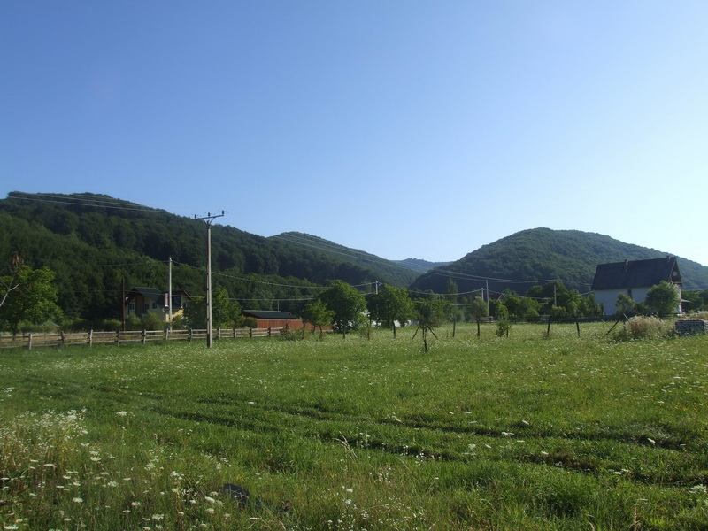 [DSCF4732.jpg]
