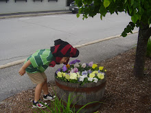 Kai sniffing flowers on Clark Point Rd, Maine