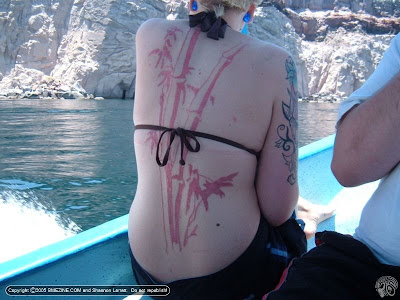 Skin Carvings Skin Carvings