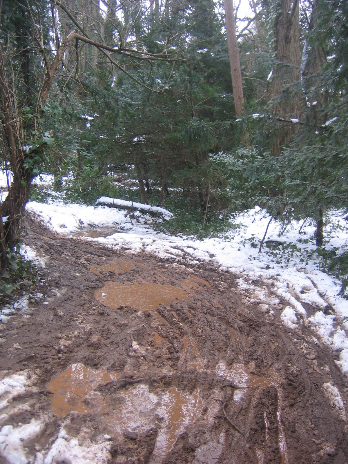 [IMG_4719.JPG]