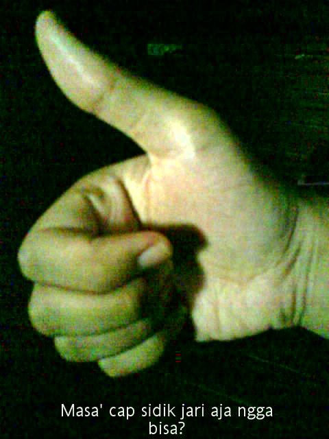[image-upload-69-772090.jpg]