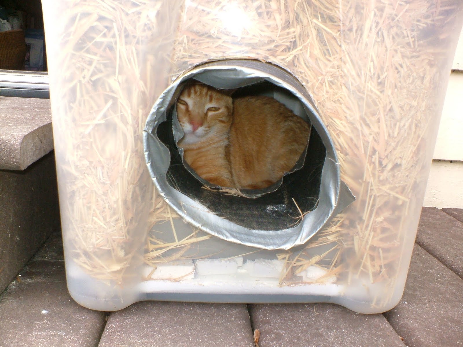 how to build a feral cat shelter. *make sure you are using straw