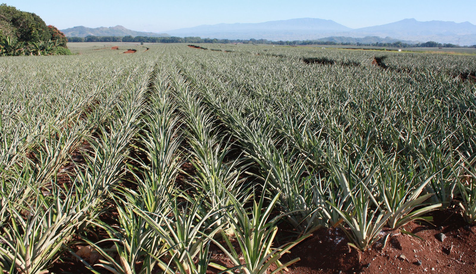 Adventurous Feet Part2 BukidnonCDOIliganCamiguin Trip Day1